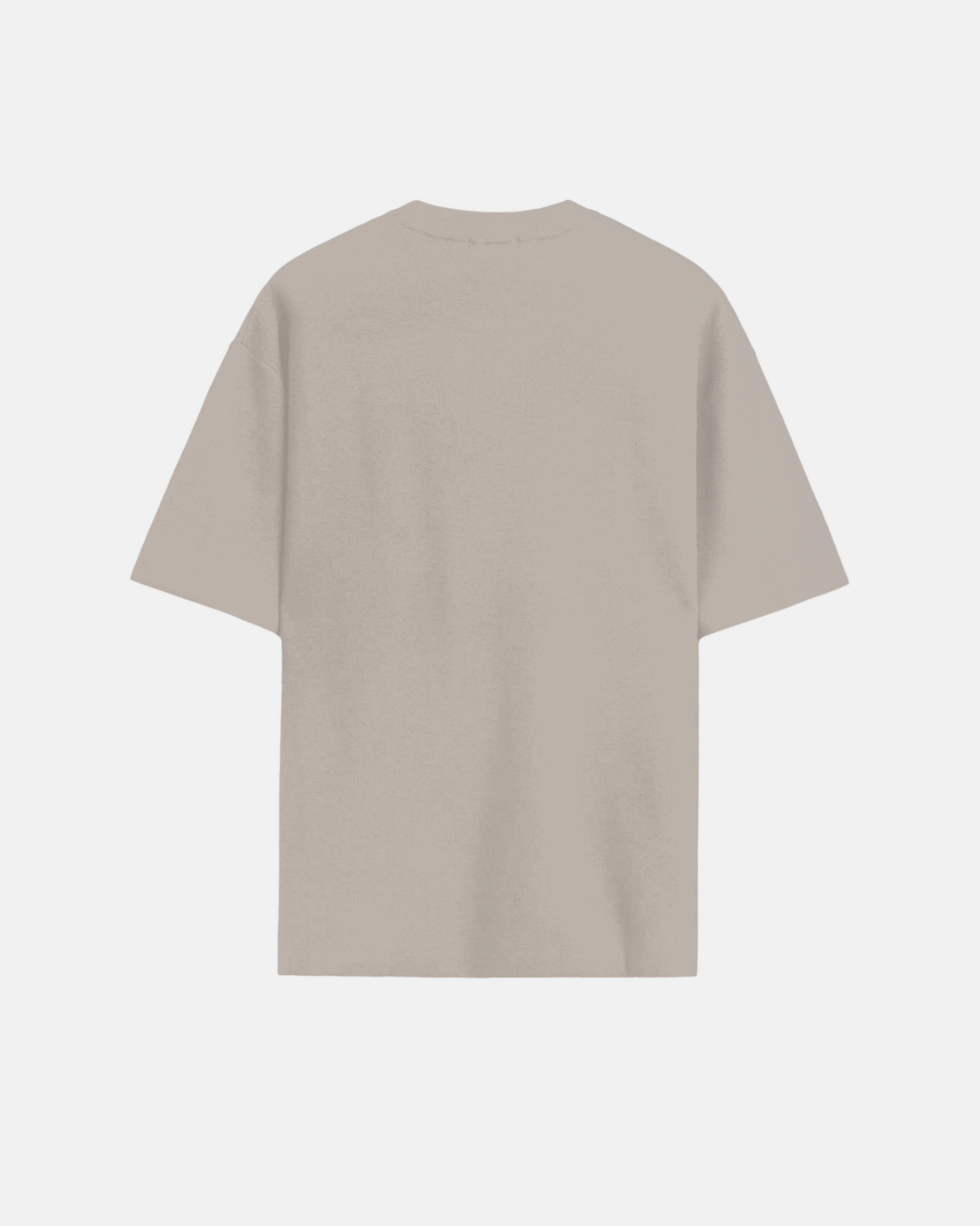Pestal Grey Relaxed Fit T-Shirt