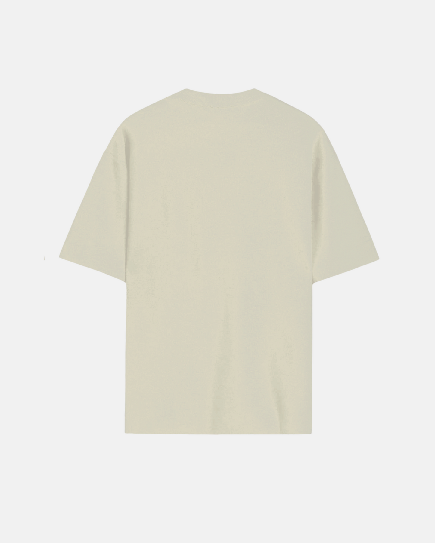 Egg Shell Relaxed Fit T-Shirt